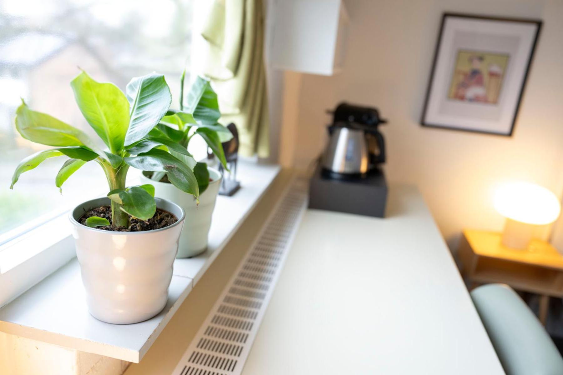 B&B De Dream Leeuwarden Eksteriør bilde